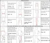 메라미드 신부 웨딩 드레스 레이스 아플리케 맞춤형 민소매 물고기 코트 기차 웨딩 드레스 2023