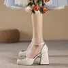Robe chaussures strass plate-forme talons hauts femmes sandales 2023 été élégant talon épais Mary Jane luxe fête mariage femme pompes