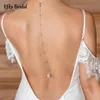 Chokers Efily Cubic Zirconia Wedding Backdrop Halsband Brudtillbehör Jycken Party Prom Back Chain Long Crystal Backless Necklace 231013
