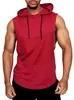 Herr t-skjortor Spring Autumn Style International Grid Matching Color Hooded Vest Sports Breattable T-shirt Drop Sale