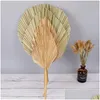 Flores decorativas grinaldas 1 pcs palmeira fã folha seca flor janela recepção festa arte parede pendurado decoração arco arranjo gota de dhlny