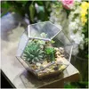 Planters POTS NCYP Modern Glass Terrarium Flower Pot Gold Geometric Bonsai Pots Plant Planter skrivbord Display Flowerpot Home Garden Dhobh