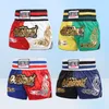 MUAY THAI KICKBOXING Shorts adultes Boxing Trunks Gym grappling combat martial sanda Training Pantals2613668