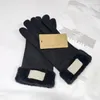 Designer Femmes Mode Gant Gants en peau de mouton avec boîte en cuir d'hiver de haute qualité commerce extérieur nouveaux hommes équitation imperméable plus velours thermique fitness moto