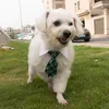 Ошейники для собак, галстук в клетку, регулируемый удобный галстук, модный повседневный галстук и аксессуары для кошек, вечерние милые украшения для домашних животных, декор