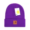 Nuovo cappello lavorato a maglia autunno e inverno Berretto di lusso invernale da uomo e da donna Logo ricamato unisex cappelli in misto lana carhar di alta qualità all'aperto caldo senza tesa T-19