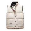 Designer vest Men's and Women's Sweatshirt Authentic luxury goose feather material loose coat Fashion trend coat Gvjcg