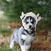 Kedi Kostümleri Peluş İnek Şapkası Headdress Ox Head Band Köpekleri Keden (Beyaz) 16x15cm