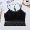 Bustiers korsetter Sexiga spetsar Kvinnor Crop Tops Sömlösa Cross Strap Female Tube Top med Pad Vest Beauty Back Push Up Bralette Soft Active Active