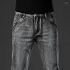 Jeans pour hommes Smoke Grey Automne Regular Stretch Casual Droite Mode Vintage Baggy Mâle Marque Denim Pantalon