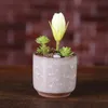 Ice Cracked Mini Ceramic Flower Pot Colorful Cute Flowerpot For Desktop Decoration Meaty Potted Plants Planters 8 Colors