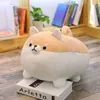 Jouet Anime en peluche Corgi Kawaii en peluche mignon chien oreiller doux, mignon jouet en peluche cadeaux pour garçons filles