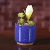 Ice Cracked Mini Ceramic Flower Pot Colorful Cute Flowerpot For Desktop Decoration Meaty Potted Plants Planters 8 Colors