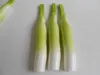 Decorative Flowers PU Simulated Water Bamboo Model Fake Vegetable Ornaments Plastic Shoots Food Props 2pcs