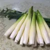 Decorative Flowers PU Simulated Water Bamboo Model Fake Vegetable Ornaments Plastic Shoots Food Props 2pcs