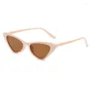 Солнцезащитные очки маленькие кошачьи глаза женские ретро треугольные солнцезащитные очки мужские защитные модные очки дизайн UV400
