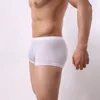 Underpants 브랜드 속옷 권투 선수 남성 통기성 메쉬 남자 복서 남성 섹시 팬티 나일론 남성 바디 수트 트렁크 팬티