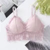 Soutien-gorge Push Up en dentelle française confortable pour femmes, Lingerie Sexy, rembourré, sous-vêtements féminins confortables, fil Bralette251D