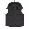 Lululem Wunder Puff Gilet da donna nero con cappuccio Gilet senza maniche in piumino d'oca bianco Giacca a vento viola Colletto alla coreana Indumento Giacca da yoga Gilet Lady Cappotti impermeabili