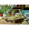 Pflanzgefäße Töpfe NCYP Moderner Glasterrarium-Blumentopf Gold Geometrischer Bonsai-Pflanzenpflanzer Desktop-Display-Blumentopf Drop-Lieferung H Dhbft