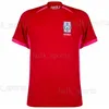 2020 South Korea Soccer Jerseys Son Football Shirts 20 21 جمهورية كورياجنوب جيرسي هيونغ كيم لي كيم هو ابن مخصص الرجال