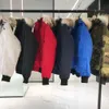 Parkas pour hommes Hommes Puffer Jacket Vestes d'hiver Designer Parkas Homme Chaquetas Manteaux d'extérieur Big Fur Parka à capuche Hommes Femmes Veste Manteau de haute qualité