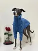 Hundebekleidung, warmer Winter-Haustier-verdickter Pullover, stilvoller Rollkragenpullover, italienische Windhund-Kleidung, Whippet