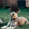 Abbigliamento per cani 2 pezzi Cappello cosplay per animali domestici Accessorio per decorazioni per cuccioli per gatti all'aperto