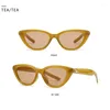 Lunettes de soleil Design Trendy Personnalité Cat Eye Lunettes de soleil Adulte Mode Femmes Coloré Petit