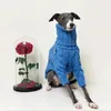 Hundebekleidung, warmer Winter-Haustier-verdickter Pullover, stilvoller Rollkragenpullover, italienische Windhund-Kleidung, Whippet