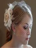 Elegant Champagne Flower Birdcage Face Veil Bridal Hats huvudbonader med Comb Wedding Headpiece Hair Accessory7069807