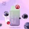 Jam King Vape Starter Zestaw 5000 Puffs Vapes 13 ml E-Liquid 650 mAh Bateria do odkładania zaprzęgowa drewniana cewka siatkowa Vape 12 smaków 12 smaków