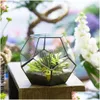 Pflanzgefäße Töpfe NCYP Moderner Glasterrarium-Blumentopf Gold Geometrischer Bonsai-Pflanzenpflanzer Desktop-Display-Blumentopf Drop-Lieferung H Dhbft