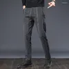 Herrenhose, gestreift, Bleistift-Stretch, schmal, vier Jahreszeiten, Business-Freizeithose, koreanische Mode, klassische Hose mit mittlerer Taille, Größe 38