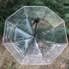 Umbrellas Automatic Transparent Umbrella Simple Small Fresh Three Folding Student Girl Portable