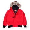 Parkas pour hommes Hommes Puffer Jacket Vestes d'hiver Designer Parkas Homme Chaquetas Manteaux d'extérieur Big Fur Parka à capuche Hommes Femmes Veste Manteau de haute qualité