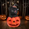 1 Stück Halloween solarbetriebenes Kürbis-Katzenlicht, für Halloween-Party-Dekoration