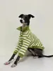 Dog Apparel Autumn And Winter Pure Cotton POLO Shirt Stretch Italian Greyhound Whippet Bellington Clothes Green Stripes