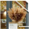 Couronnes de fleurs décoratives 60 cm Bouquet d'herbe de Pampas Fleur séchée en gros Utilisation de mariage Décor de Noël Décoration d'automne artificielle Dhafv