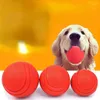 Abbigliamento per cani Pet Gomma Palla solida Addestramento resistente ai morsi Accessori per la macinazione dei denti elastici