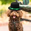 Abbigliamento per cani 2 pezzi Cappello cosplay per animali domestici Accessorio per decorazioni per cuccioli per gatti all'aperto