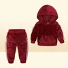 Samt-Kapuzenpullover, 2-teiliges Set für Kinder, Jungen, Mädchen, Kleidung, 2020, Kleinkind-Kostüm, Kinder-Outfits, Babykleidung, Trainingsanzug 17Y1798047