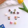 Accessori per capelli 10/20 pezzi Mini clip per neonate Fiore carino Colore caffè misto Spille per bambini Per bambini con scatola
