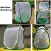 Jardinières Mini serre à plantes filet de protection à couverture pliante Durable avec fenêtre transparente pour la culture ou l'élevage d'insectes