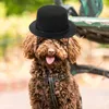 Abbigliamento per cani 2 pezzi Cappello cosplay per animali domestici Accessorio per decorazioni per cuccioli per gatti all'aperto