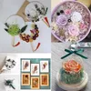 Dekorativa blommor Färgglada torkade | Torr blommig bukett hantverkartiklar för doftljus som gör gratulationskort bokmärken scrapbooking