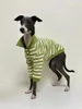 Dog Apparel Autumn And Winter Pure Cotton POLO Shirt Stretch Italian Greyhound Whippet Bellington Clothes Green Stripes