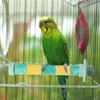 Other Bird Supplies Standing Stick Swing Parrot Stand Squirrels Quartz Stone Exercise Toys Cage Accessories Pet