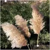 Decorative Flowers Wreaths 60Cm Pampas Grass Bouquet Dried Flower Wholesale Wedding Use Christmas Decor Artificial Fall Decoration Dhafv