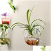 Wazony terrarium kulki kuli kształt czysty wiszący szklany wazon kwiat sadza doniczki ścienne akwarium akwarium pojemnika homw dekoracje 247H7403 d dhiel